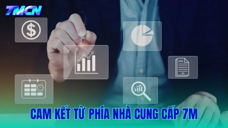 Những cam kết từ phía đội ngũ vận hành 7M