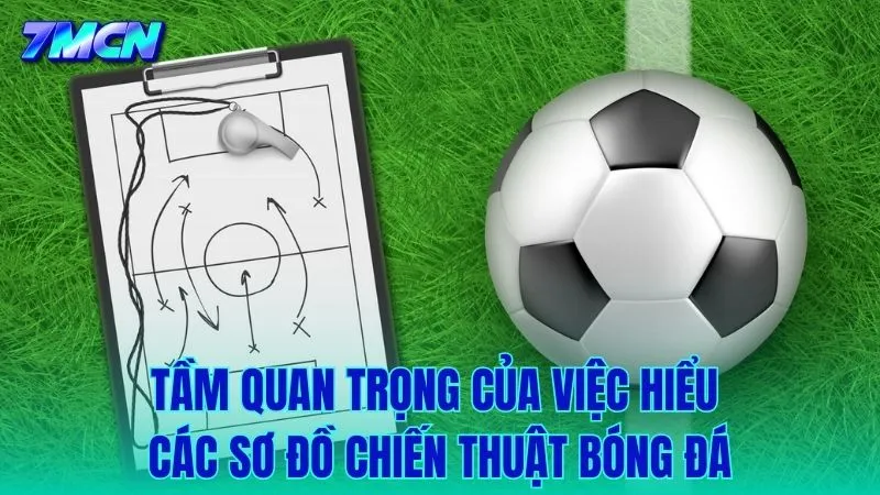Tại sao việc thấu hiểu sơ đồ là bước đầu tiên để đọc vị trận đấu?